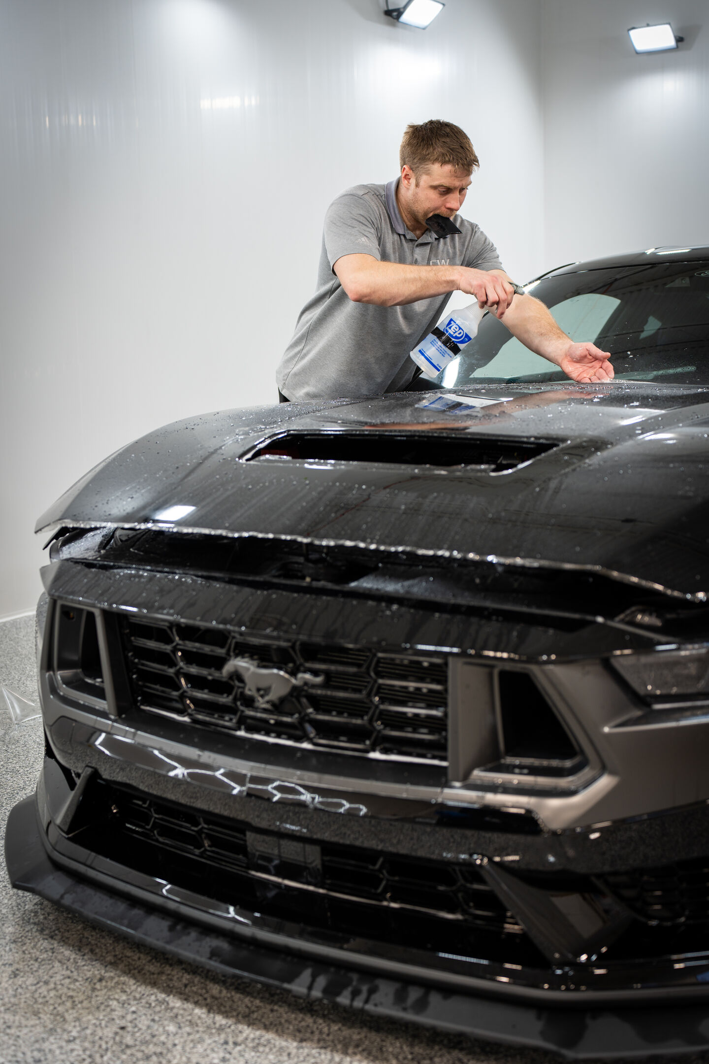 Paint Protection Film PPF Germantown, MD