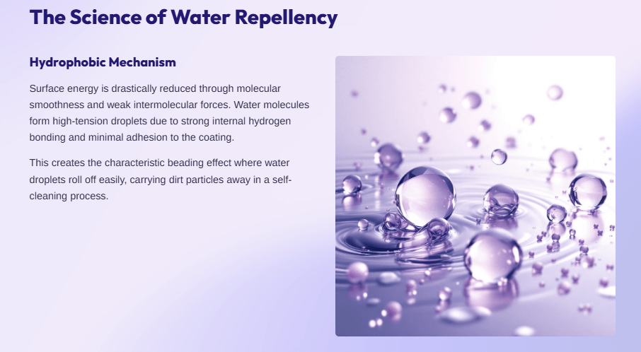 The Science of Water Repellency