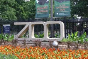 The Smithsonian National Zoological Park in Washington, D.C. is a world-renowned zoo featuring diverse wildlife, conservation programs, and family-friendly experiences.
