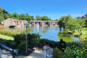 Townhomes in Rollins Park, Rockville, MD offer modern, spacious living with convenient access to local amenities, parks, and community services.