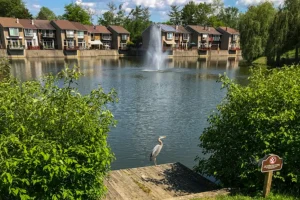 Explore the New Mark Commons Wildlife Gallery in Rockville, MD, showcasing local wildlife and natural habitats in a vibrant, educational setting.